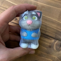  عکس9 اسکوئیشی